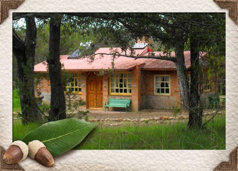 Cabañas las Manzanillas – Renta de Cabañas en la Sierra Fría de